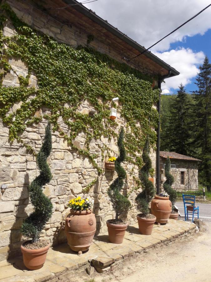 Hostal La FIABA Castellina in Chianti Exterior foto